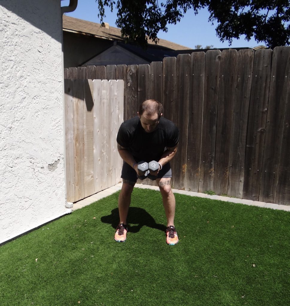 Dumbbell Rear Lateral Raise (Chicken Wing) • Alchemy SD