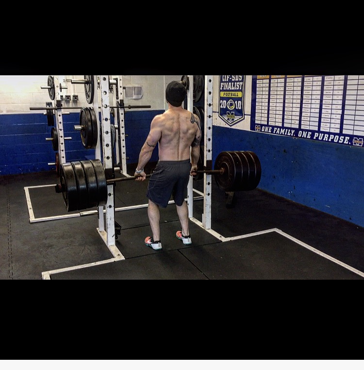 Dumbbell/Barbell Shoulder Shrugs • Alchemy SD